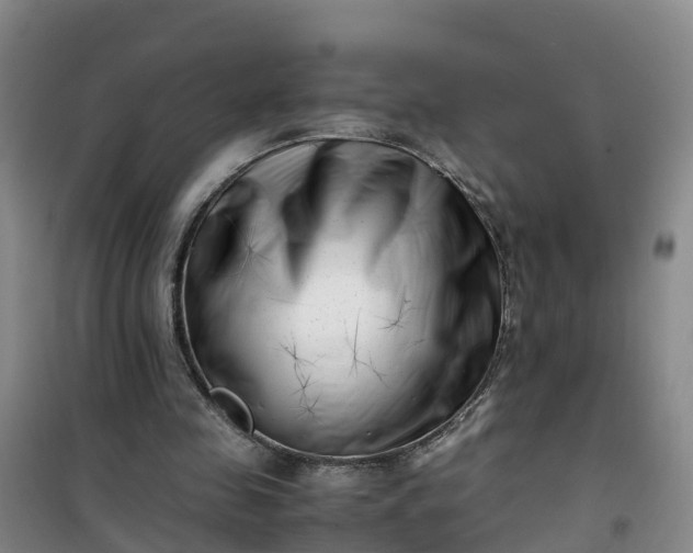 X0000101170341200807111057