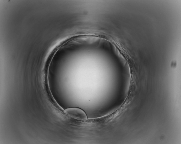 X0000101170342200807111057