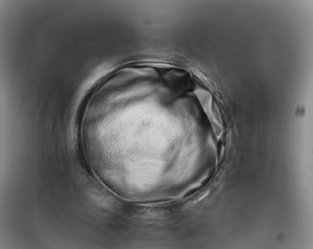 X0000101170343200807111057