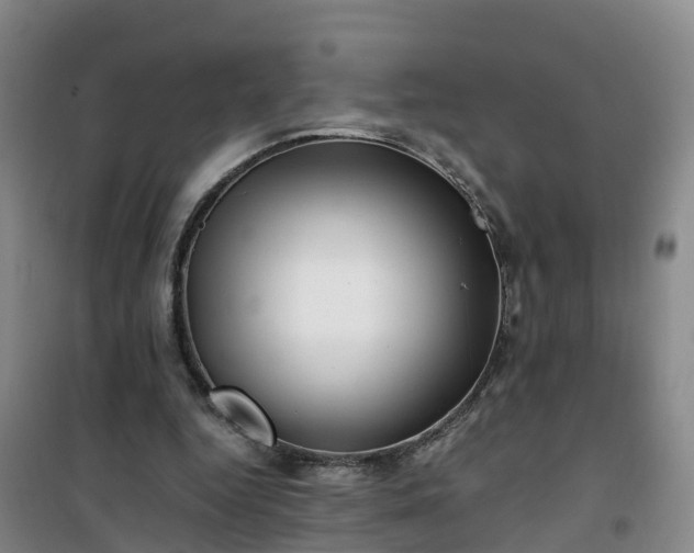 X0000101170344200807111057