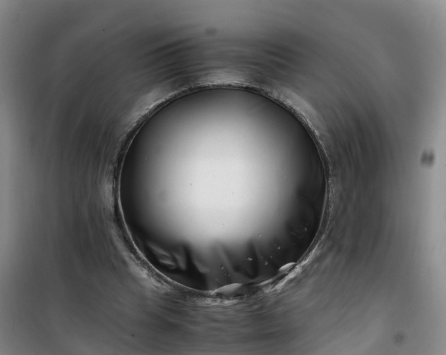 X0000101170345200807111057