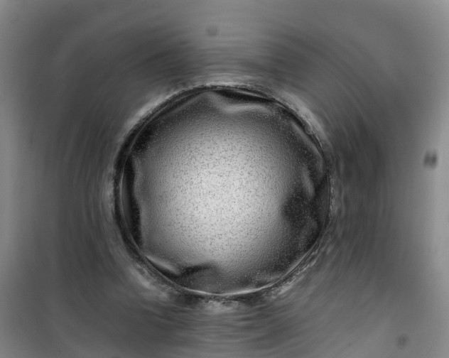 X0000101170346200807111057