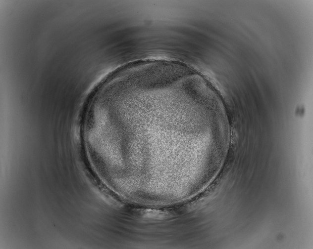 X0000101170347200807111057
