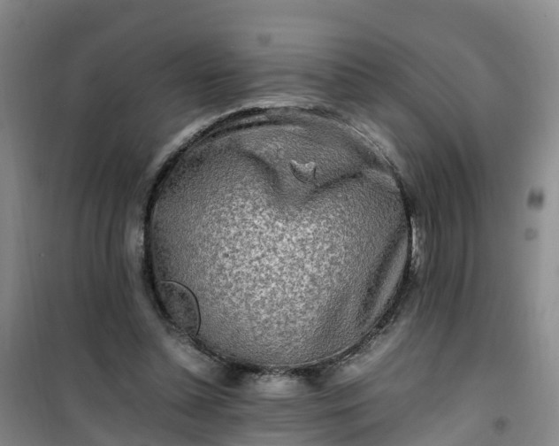 X0000101170348200807111057