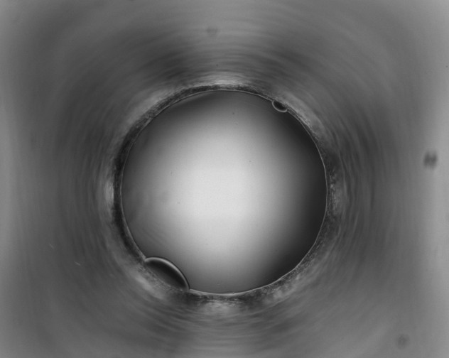 X0000101170350200807111057