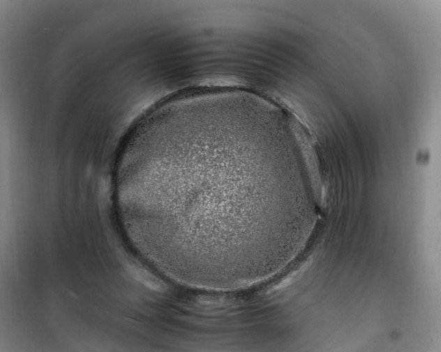 X0000101170351200807111057