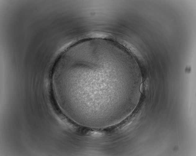 X0000101170352200807111057