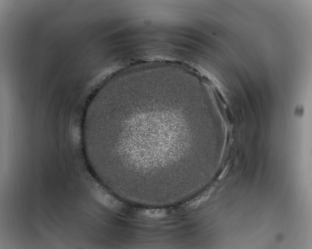 X0000101170353200807111057