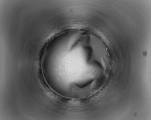 X0000101170354200807111057