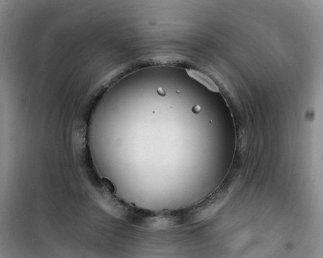 X0000101170356200807111057