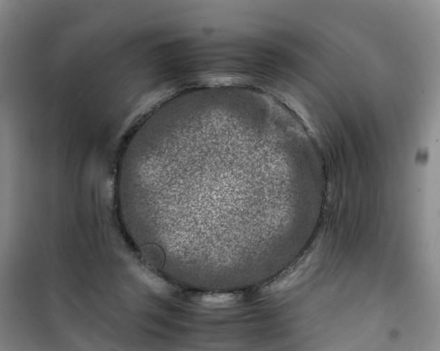 X0000101170357200807111057