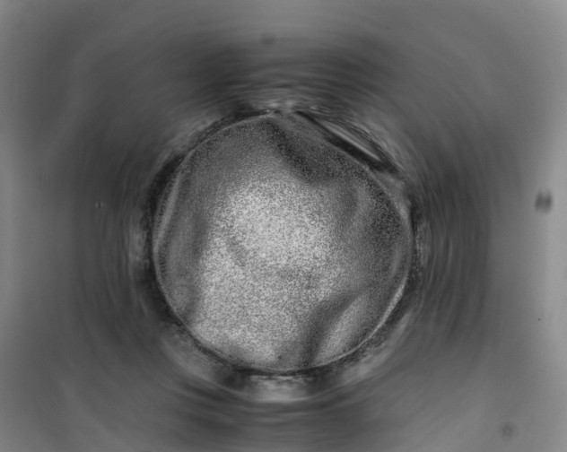 X0000101170359200807111057