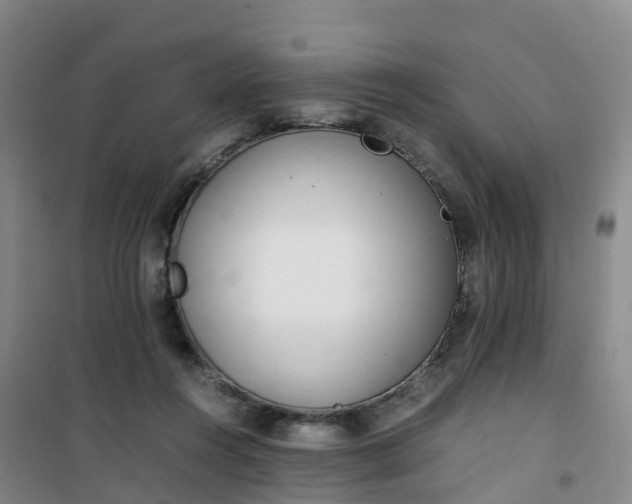 X0000101170360200807111057