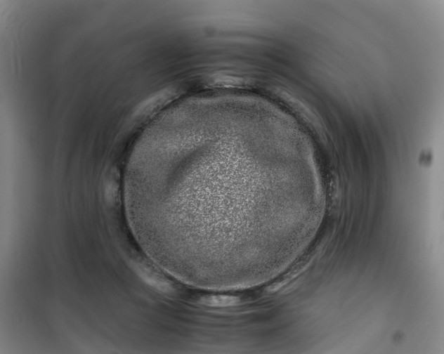 X0000101170361200807111057