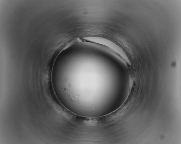 X0000101170362200807111057