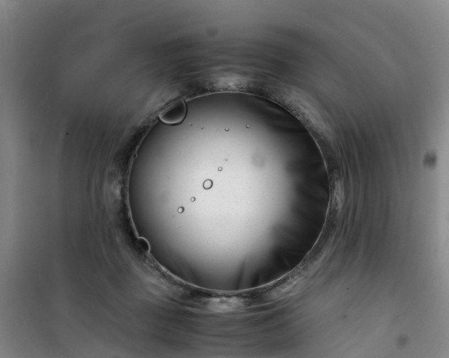 X0000101170363200807111057