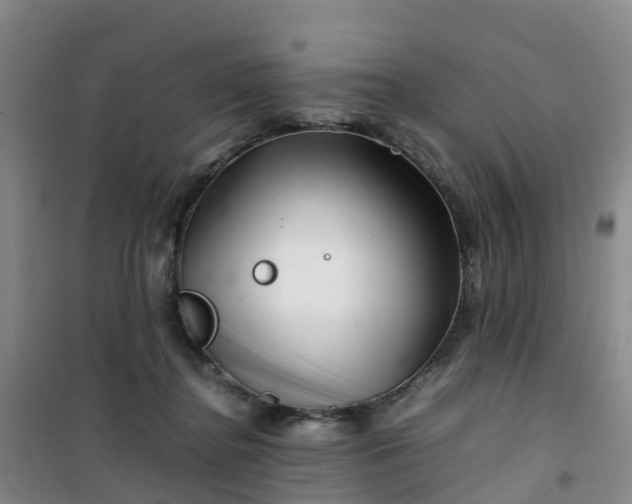 X0000101170364200807111057