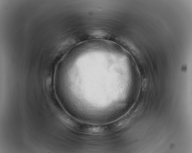 X0000101170365200807111057