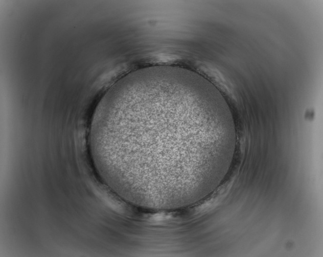 X0000101170366200807111057