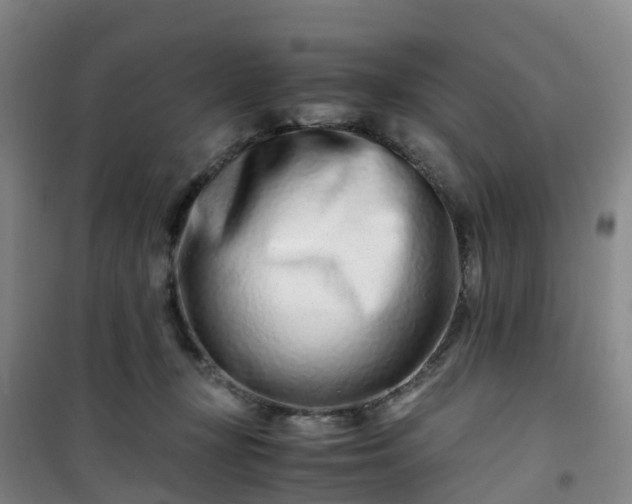 X0000101170367200807111057