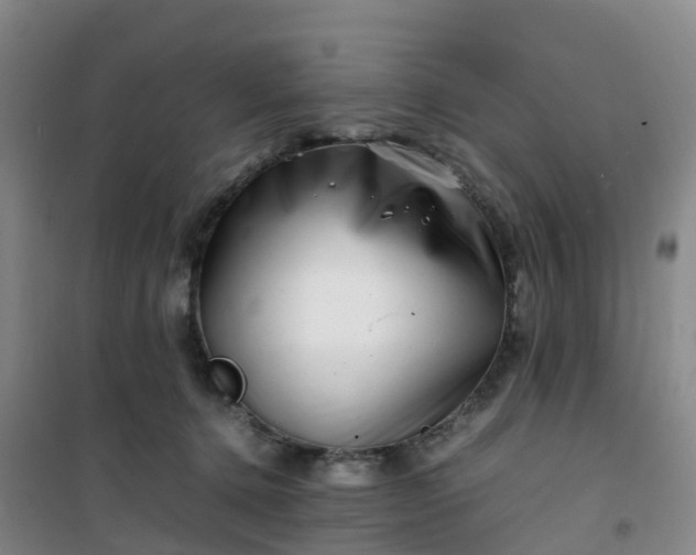 X0000101170368200807111057