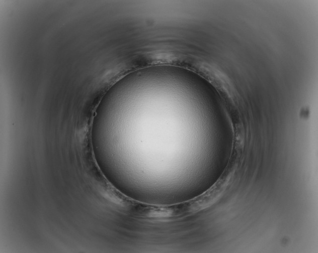 X0000101170369200807111057