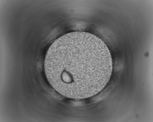 X0000101170370200807111057