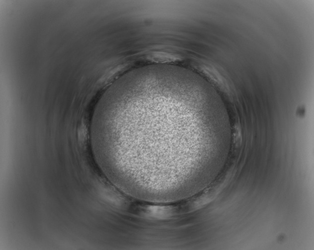 X0000101170371200807111057