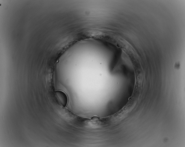 X0000101170372200807111057
