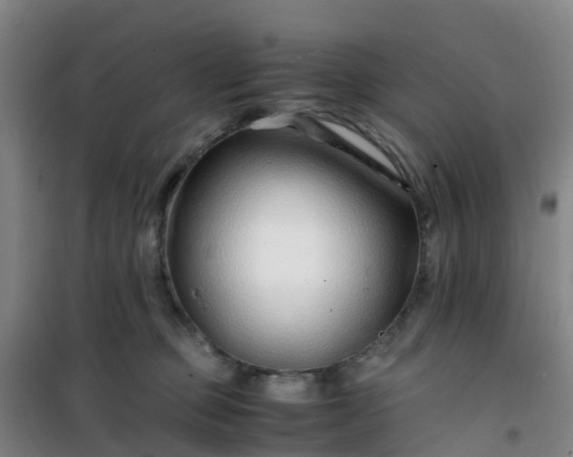 X0000101170373200807111057