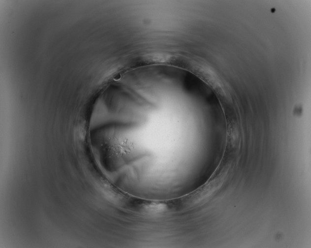 X0000101170374200807111057