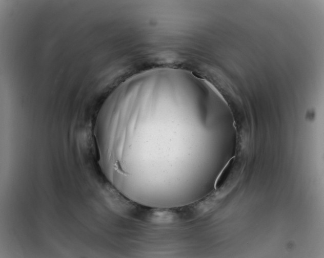 X0000101170376200807111057