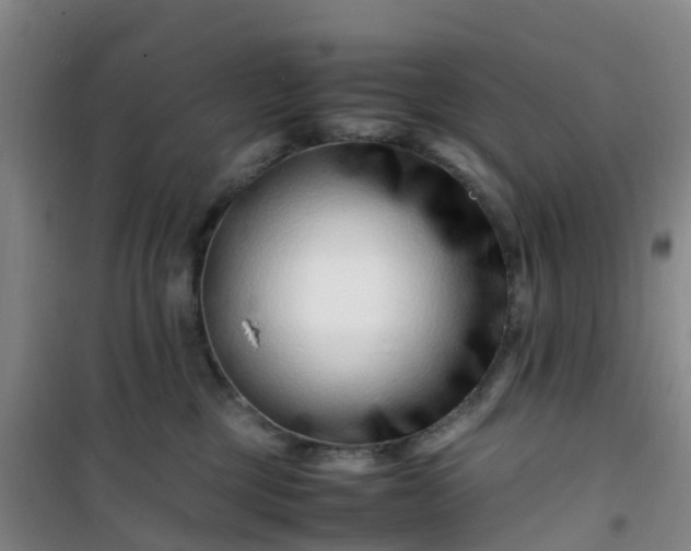 X0000101170377200807111057