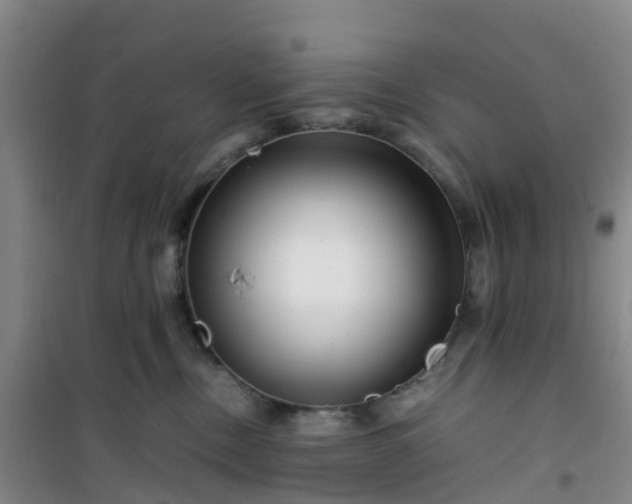 X0000101170378200807111057