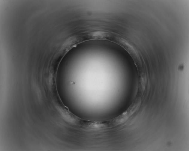 X0000101170379200807111057