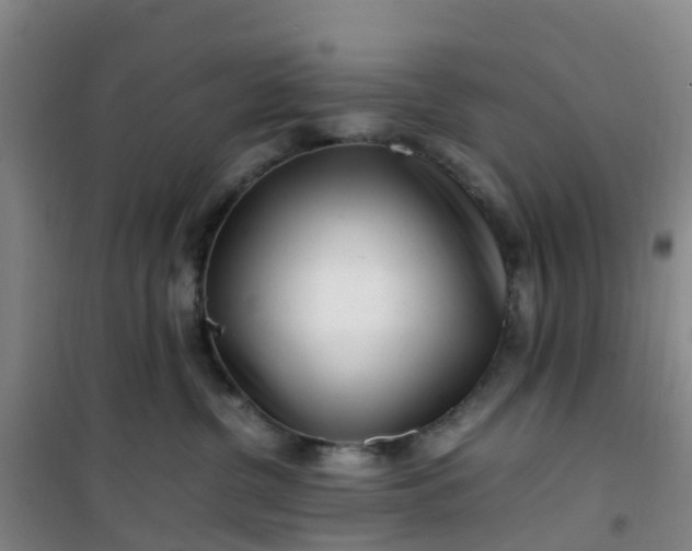 X0000101170380200807111057