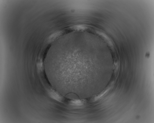 X0000101170381200807111057