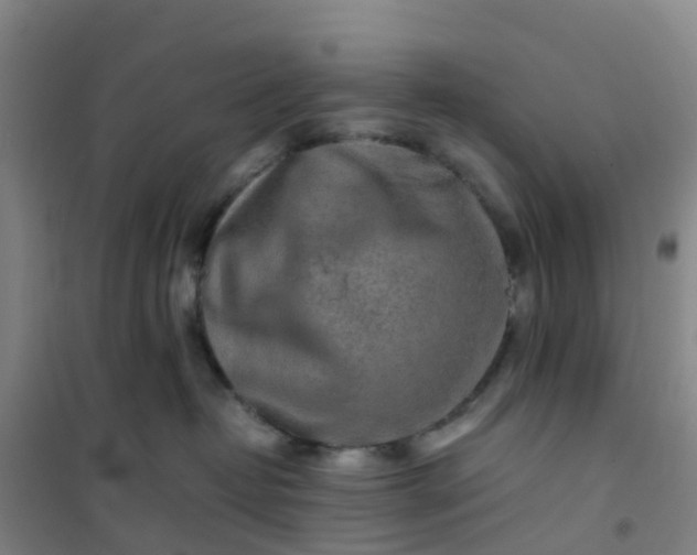 X0000101170382200807111057