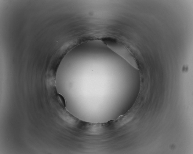 X0000101170384200807111057