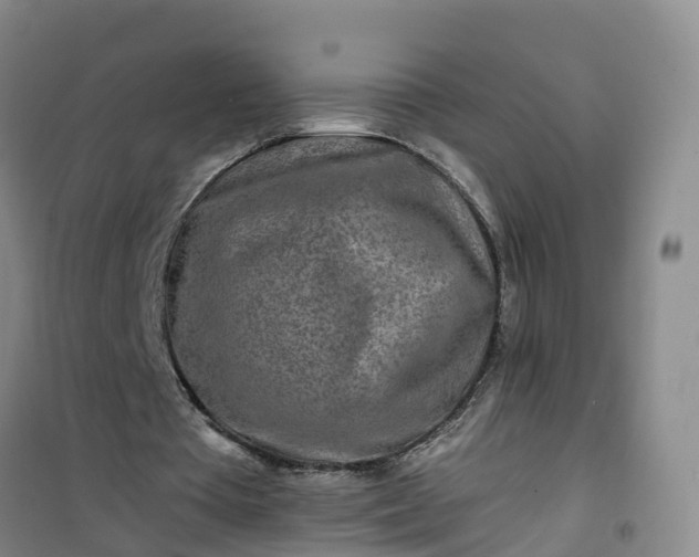 X0000101170385200807111057