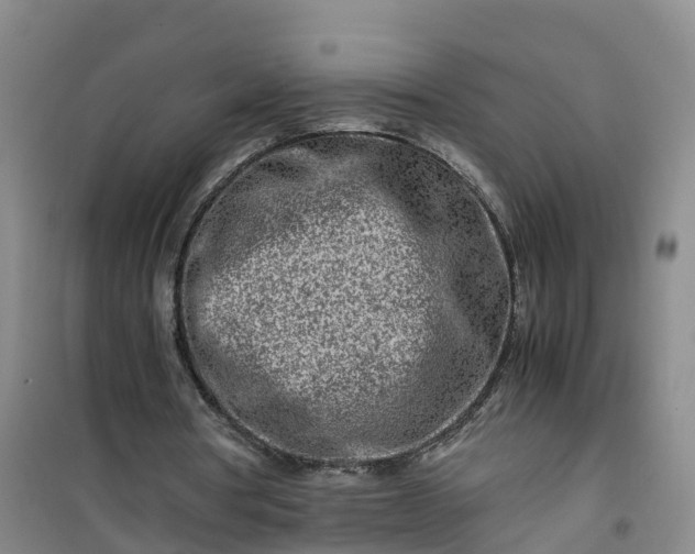 X0000101170386200807111057