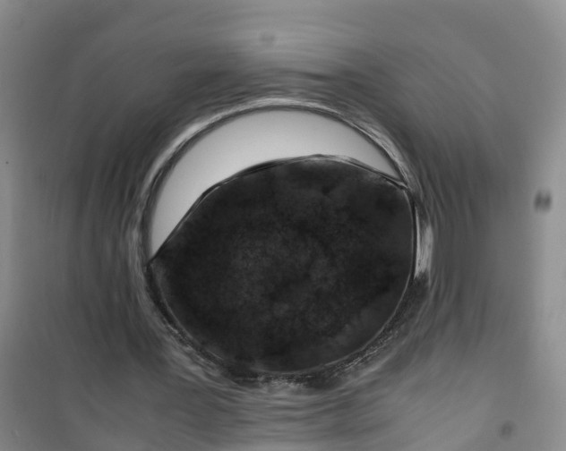 X0000101170387200807111057