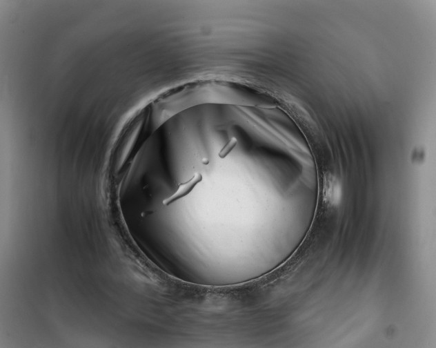 X0000101170388200807111057