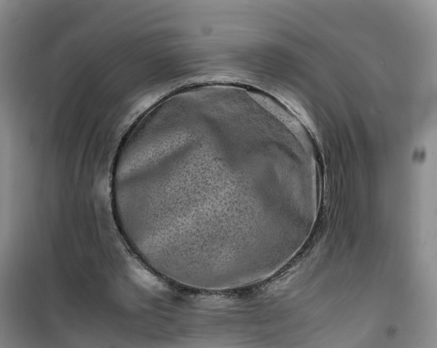 X0000101170389200807111057