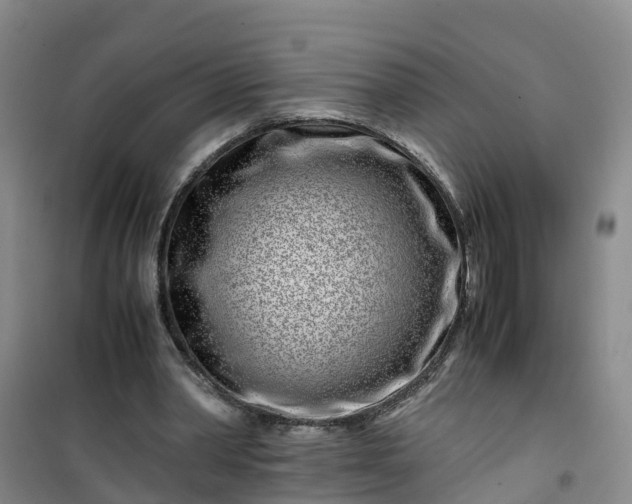 X0000101170390200807111057
