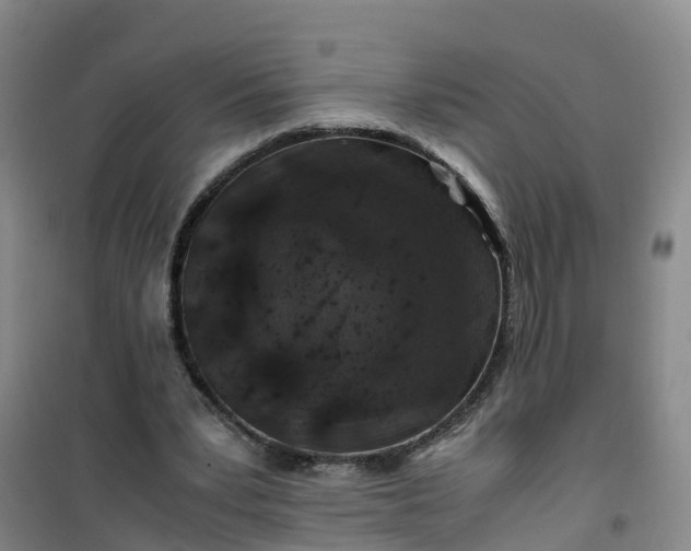 X0000101170391200807111057