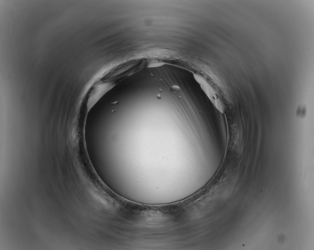 X0000101170392200807111057