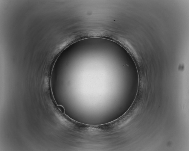 X0000101170393200807111057