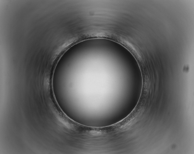 X0000101170394200807111057