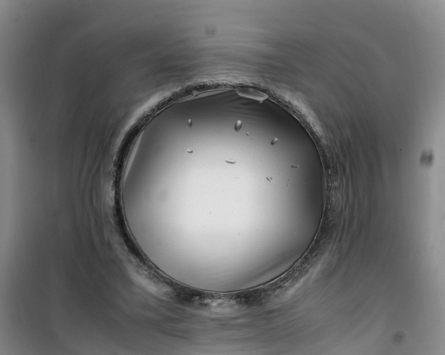 X0000101170395200807111057